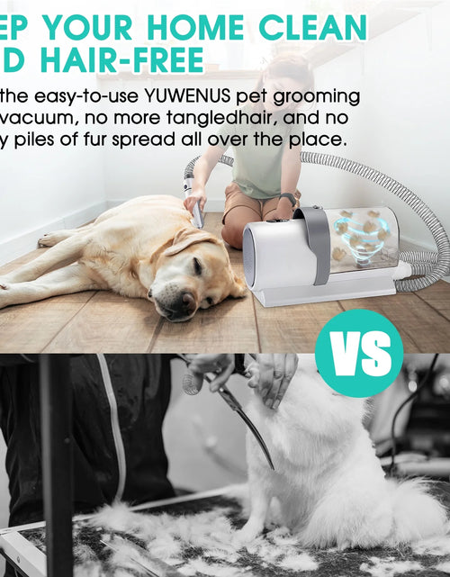 Load image into Gallery viewer, Dog Grooming Kit and Vaccum, 11Kpa Low Noise Pet Grooming Vacuum with 3 Suction Mode, 5 in 1 Dog Vacuum, 2.5L Dustbin for Dogs, Cats and Other Animals
