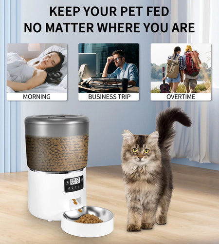 Automatic Cat Feeder, 4L Dual Power Pet Feeder Automatic Dry Food Dispenser, Control 1-4 Meals a Day, Automatic Dog Feeder