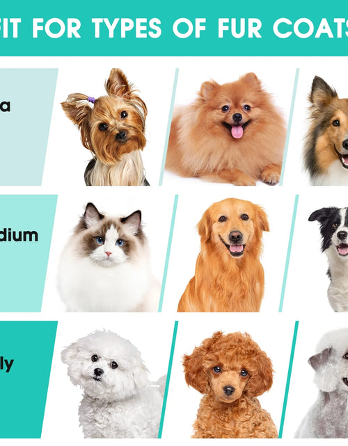 Load image into Gallery viewer, Dog Grooming Kit and Vaccum, 11Kpa Low Noise Pet Grooming Vacuum with 3 Suction Mode, 5 in 1 Dog Vacuum, 2.5L Dustbin for Dogs, Cats and Other Animals
