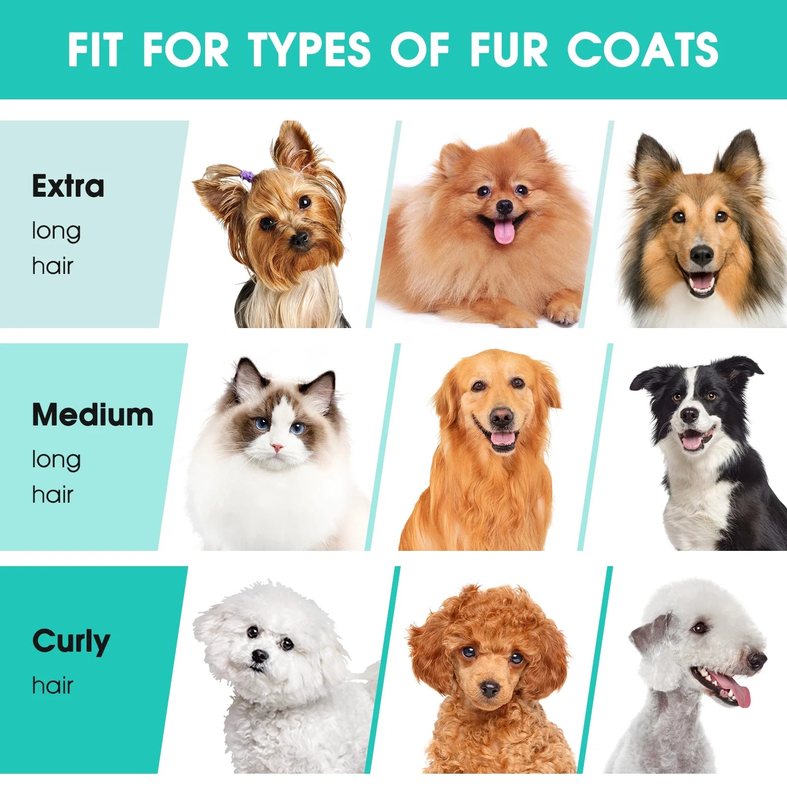Dog Grooming Kit and Vaccum, 11Kpa Low Noise Pet Grooming Vacuum with 3 Suction Mode, 5 in 1 Dog Vacuum, 2.5L Dustbin for Dogs, Cats and Other Animals