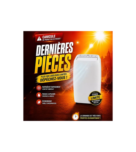 Climatiseur réversible ZEPHIR ZPO12000H