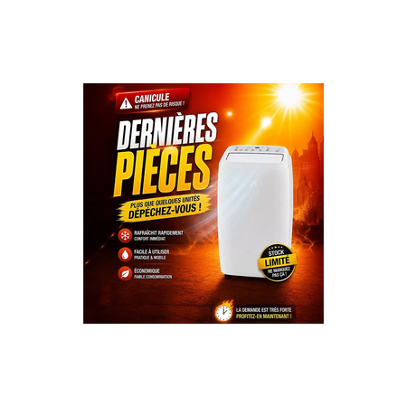 Climatiseur réversible ZEPHIR ZPO12000H