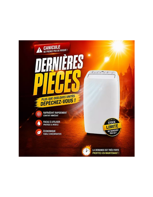 Load image into Gallery viewer, Climatiseur réversible ZEPHIR ZPO12000H
