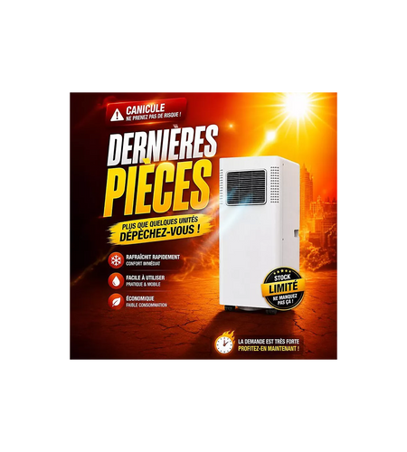 Climatiseur réversible BEKO BP209H