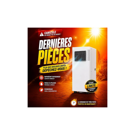 Climatiseur réversible BEKO BP209H