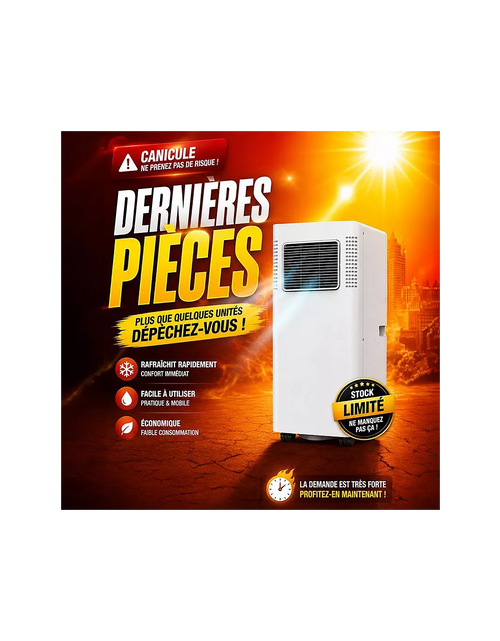 Load image into Gallery viewer, Climatiseur réversible BEKO BP209H
