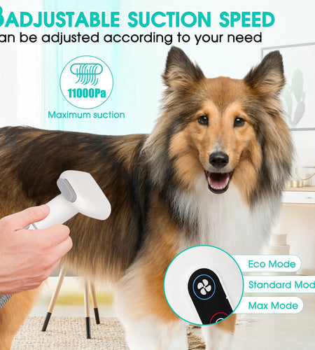 Dog Grooming Kit and Vaccum, 11Kpa Low Noise Pet Grooming Vacuum with 3 Suction Mode, 5 in 1 Dog Vacuum, 2.5L Dustbin for Dogs, Cats and Other Animals