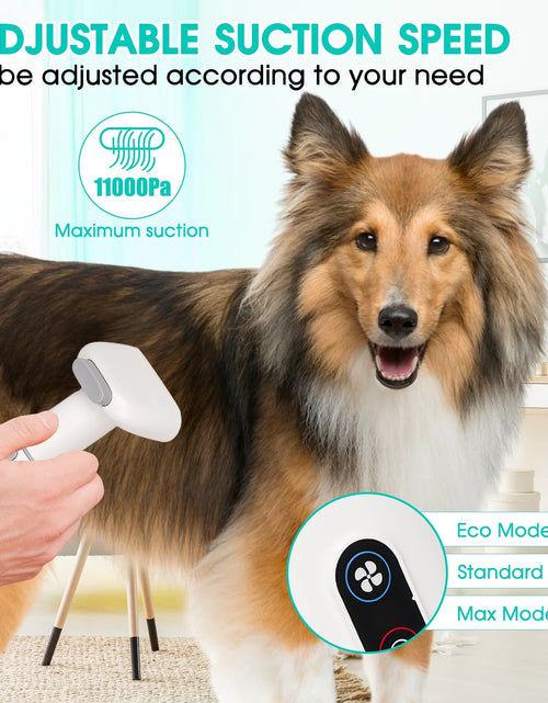 Load image into Gallery viewer, Dog Grooming Kit and Vaccum, 11Kpa Low Noise Pet Grooming Vacuum with 3 Suction Mode, 5 in 1 Dog Vacuum, 2.5L Dustbin for Dogs, Cats and Other Animals
