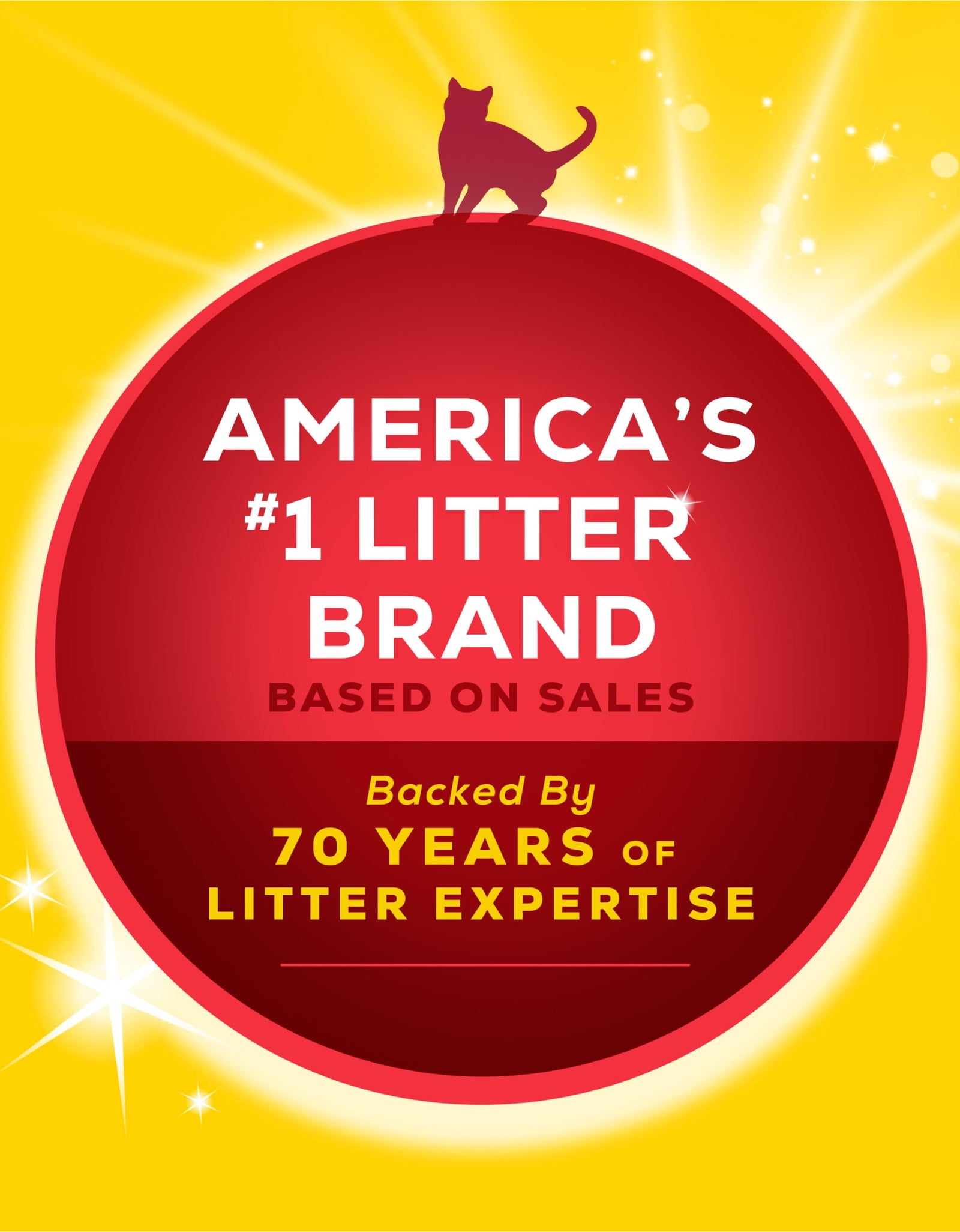 Purina  Lightweight Clumping Cat Litter, Low Dust, 24/7 Performance Multi Cat Litter, 17 Lb. Pail